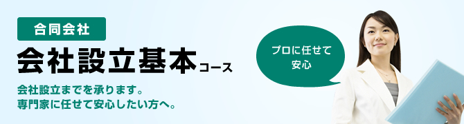 合同会社　設立基本作成コース